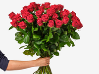 Liefde & Trouwen