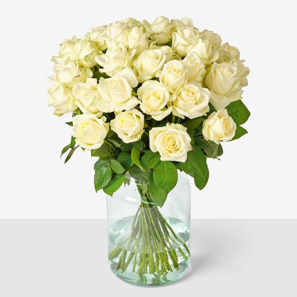 Witte Rozen in vaas