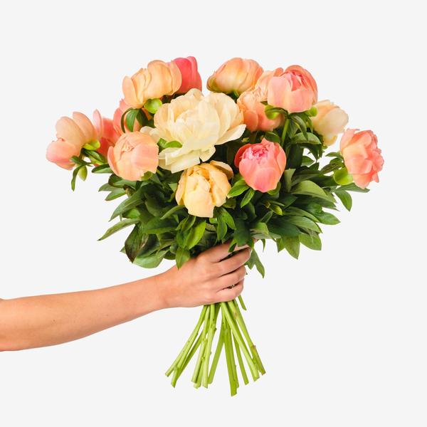 Mono pioenroos boeket in hand