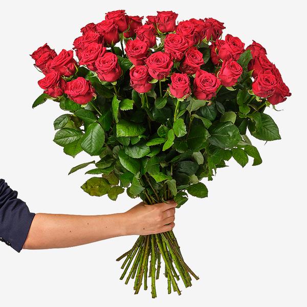 Rood Rozenboeket met hand