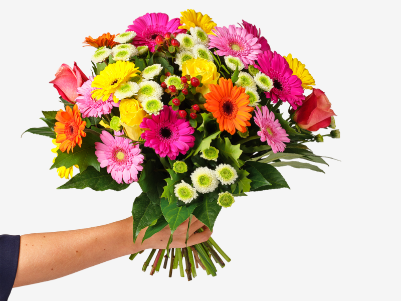 Gezellige gerbera