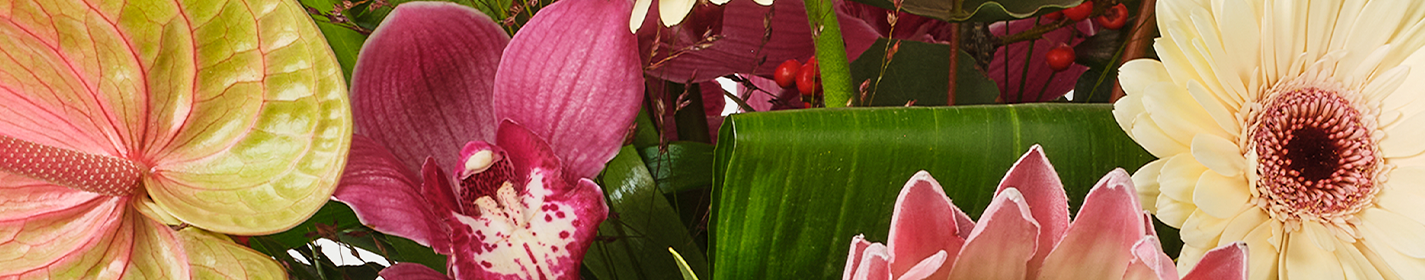 Homepage banner (Super Cymbidium2) 1425x280